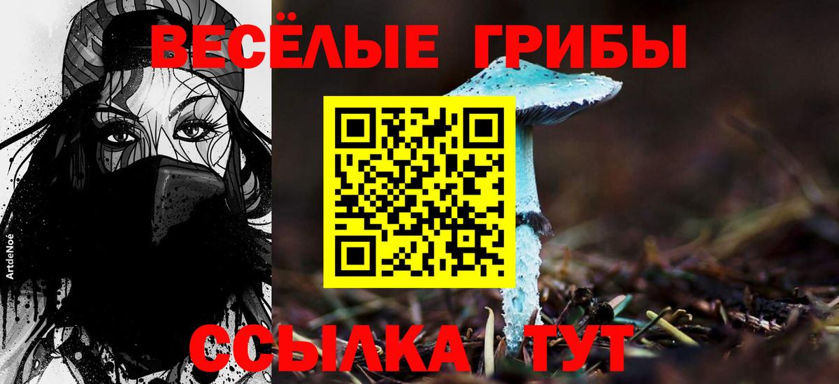Псилоцибиновые грибы Артёмовский
