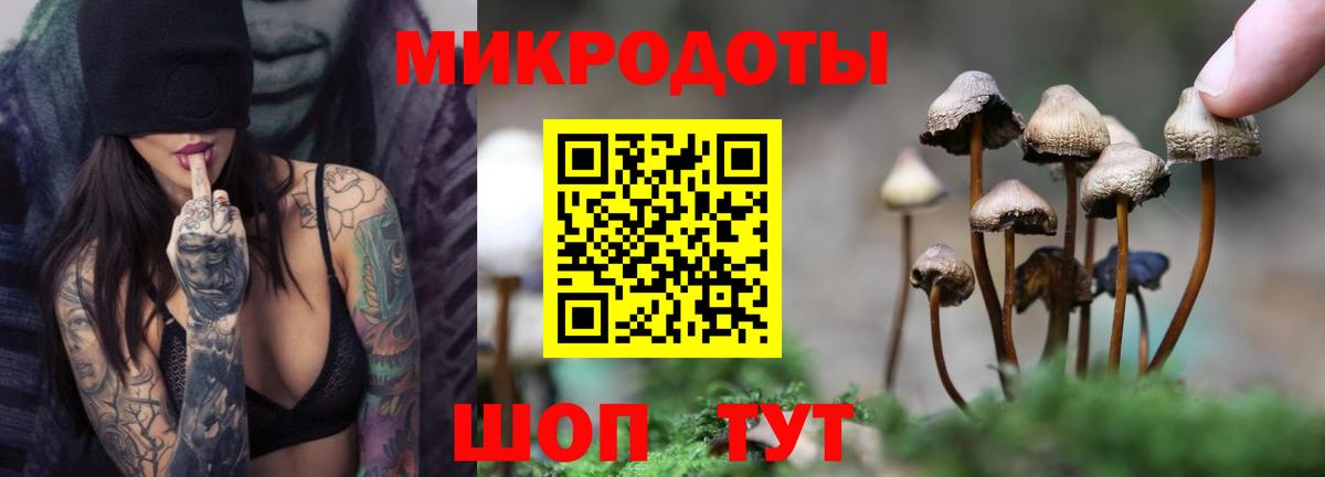 Галлюциногенные грибы Psilocybe  Вход с VPN  Артёмовский 